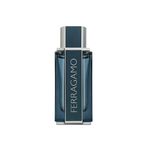 Intense Leather EDP 100ml-1
