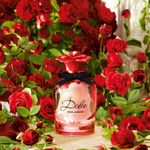 Dolce-Rose-EDT-75ml-3