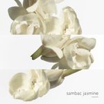 Le Jardín de Monsieur Li EDT 50ml-3