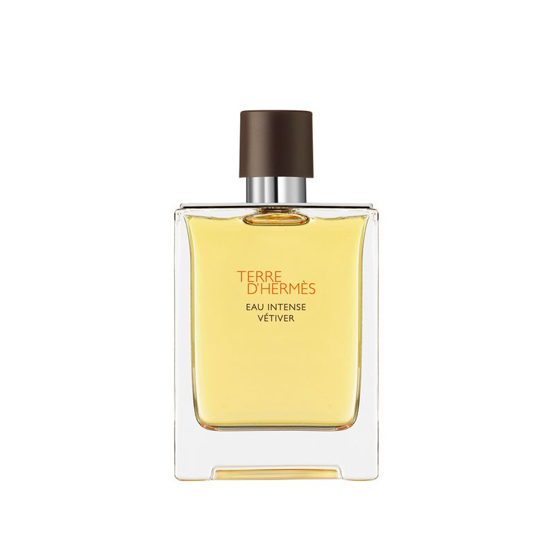 Terre D'Hermès Eau Intense Vétiver EDP 100ml-1