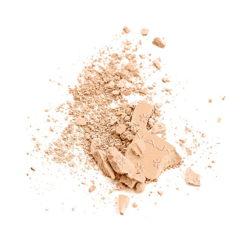 Silk-Feel-Wet---Dry-powder-Foundation-01-Ivory-4