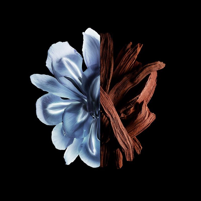 FI00P011160_4