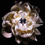 ysl_dmi_fraw_mp_edp-22_digital-still-life_packshots-ingredients_square_3000x3000px_rgb