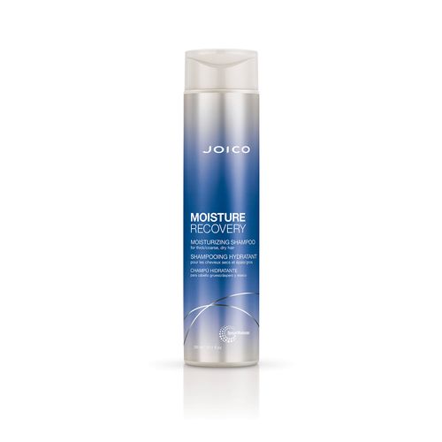 Moisture Recovery Shampoo Dry Hair