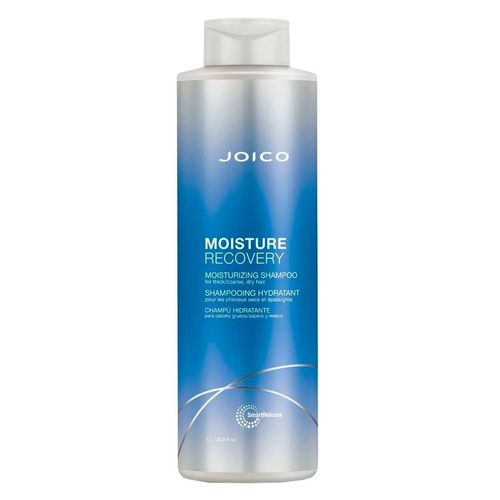 Moisture Recovery Shampoo Dry Hair