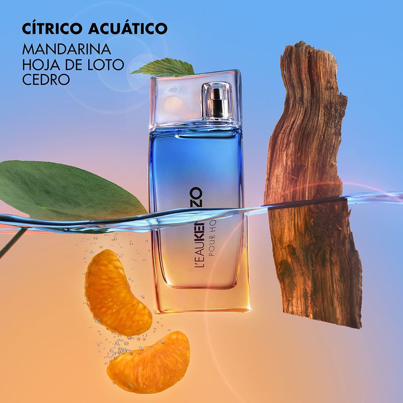 Kenzo perfume hombre 80 best sale