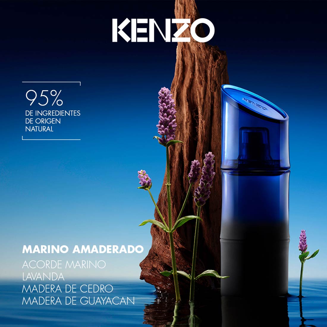 Homme Santal Marin EDT de Kenzo Beauty24