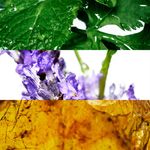 CO0-016-056-001P_4