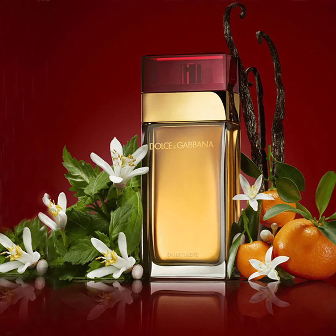 Pour Femme EDT de Dolce&Gabbana Beauty24