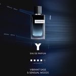 ysl_dmi_fram_y-edp_alt-view_geography_portrait_1080x1980px_inter-en_rgb